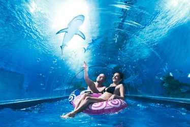 JASTRZĘBIA GÓRA 2026 - Luz, blues i skok za morze. Aquapark z rekinami, Laser Tag, misja specjalna. Rejs promem. Kolonia 7-13 lat, obóz 14-18 lat.